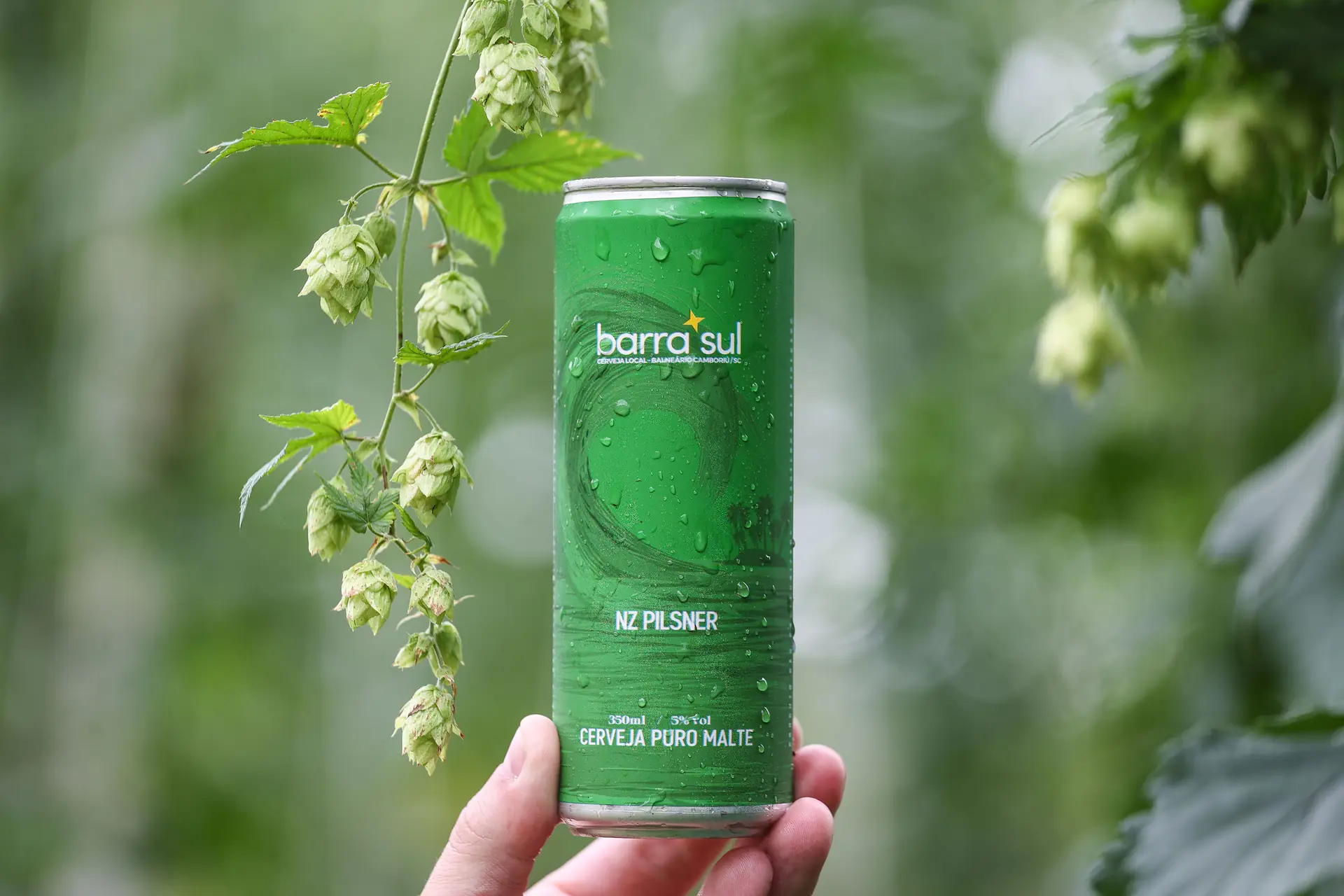 Lata de NZ Pilsner Barra Sul ao lado de um ramo de lúpulo